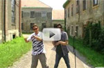 The Mosquito Dance