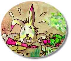 Rabbit